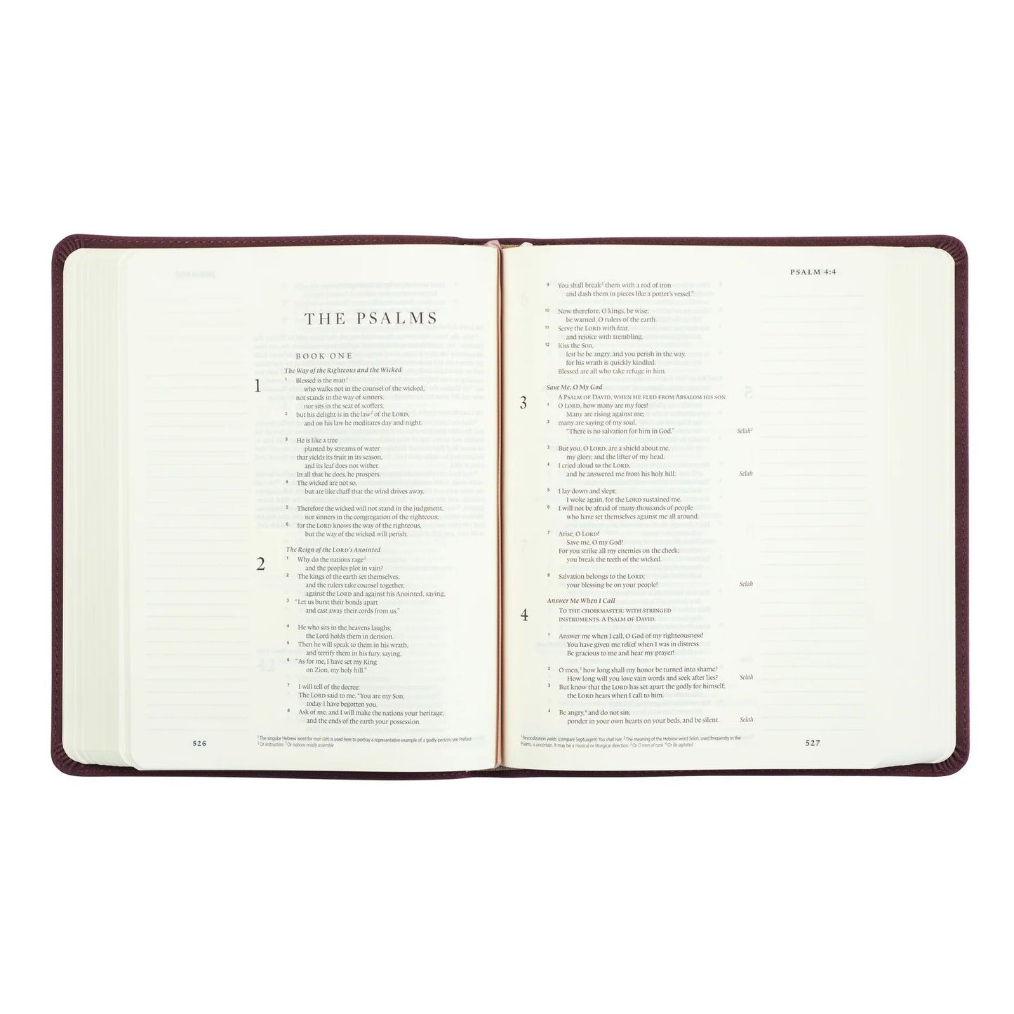 ESV Journaling Bible : Helena Theme