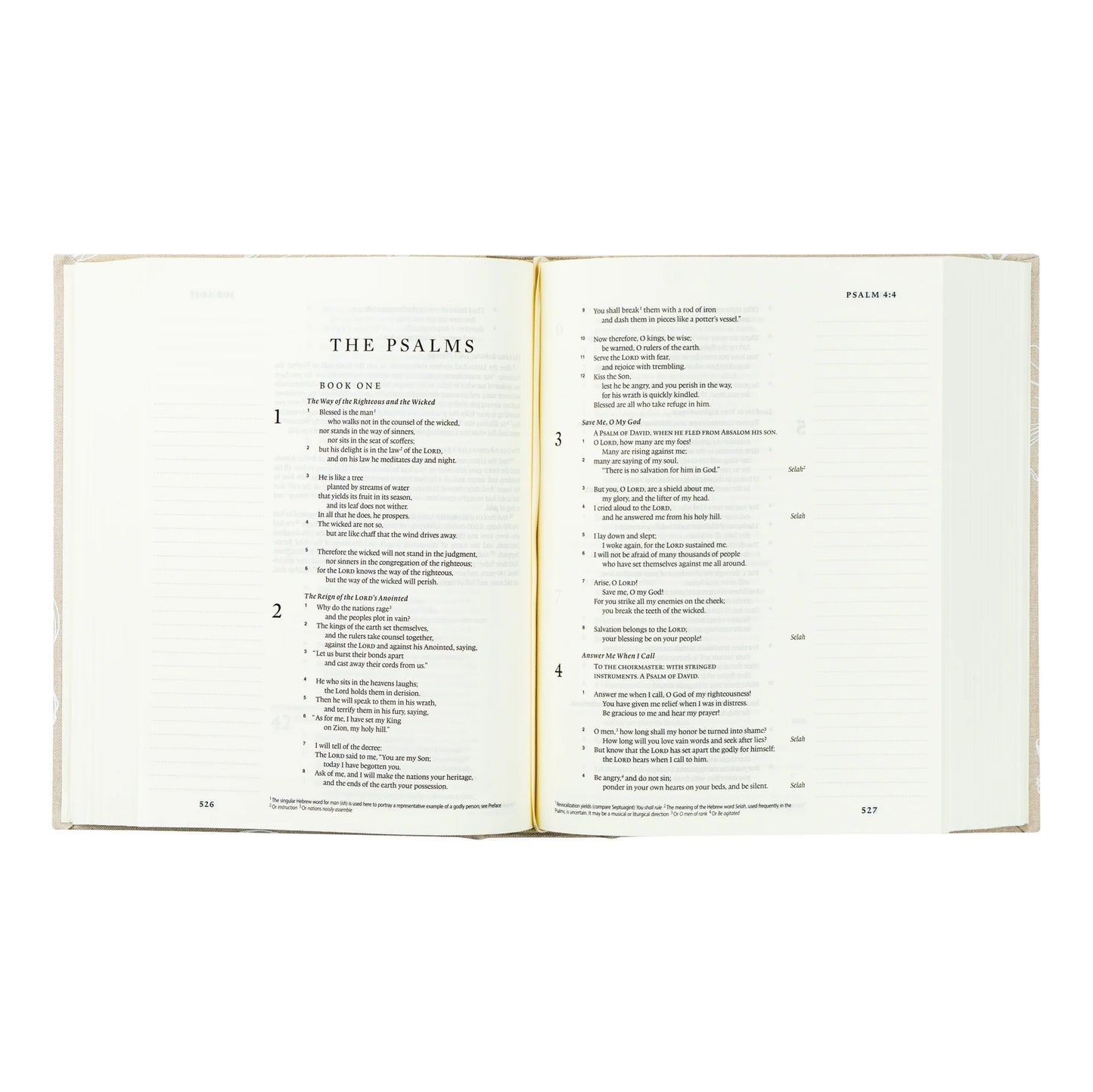 ESV Journaling Bible : Cordova Theme