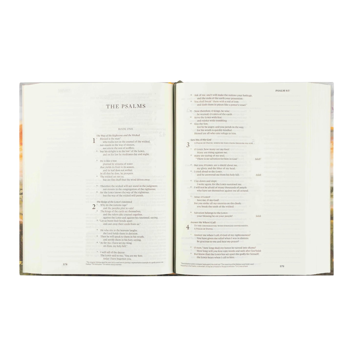 ESV Journaling Bible: Florence Theme