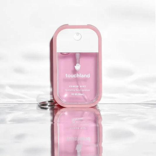 Sanitizer Case